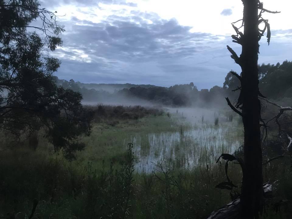 Nerrina wetlands 6am Oct 2017