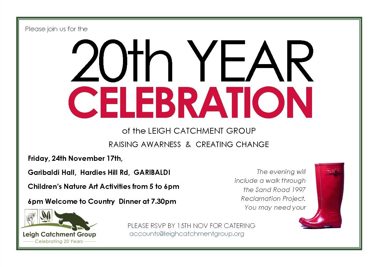 LCG 20 Year invitation