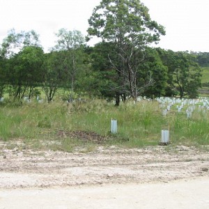 233-3374 IMG
